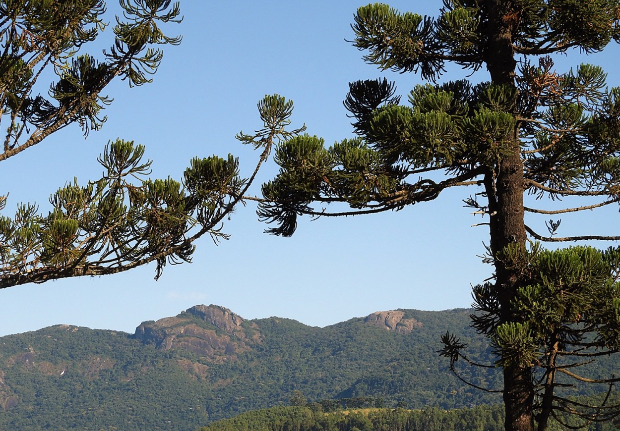 "Manh de Outono, natureza e ar puro!" de Decio Badari