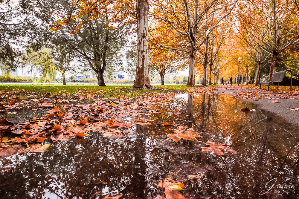 "reflejos de otoo" de Carlos Gustavo Gragera Garriga