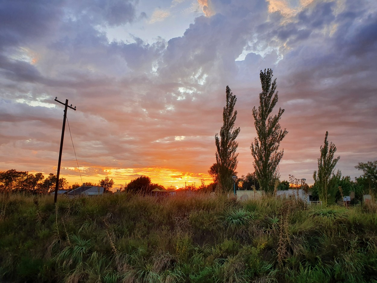 "Verticales al amanecer" de Fernando Valdez Vazquez