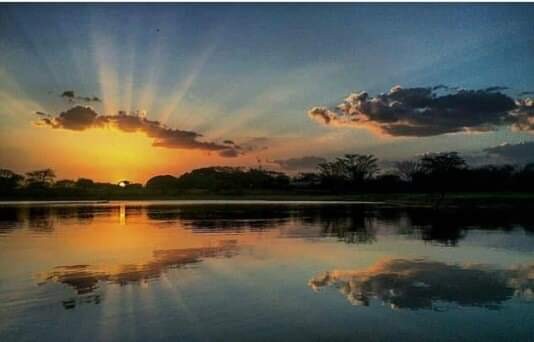 "Mi Llano Oriental, Colombia" de Erick L. Posso Jimnez