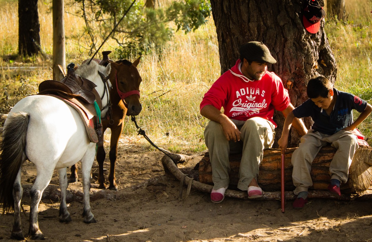 "Los petiseros" de Su Garcia Hillcoat