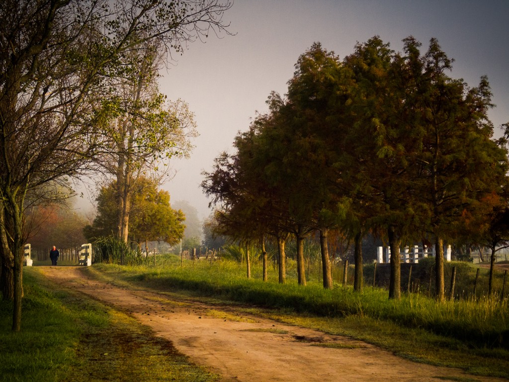 "En camino" de Fernando Valdez Vazquez