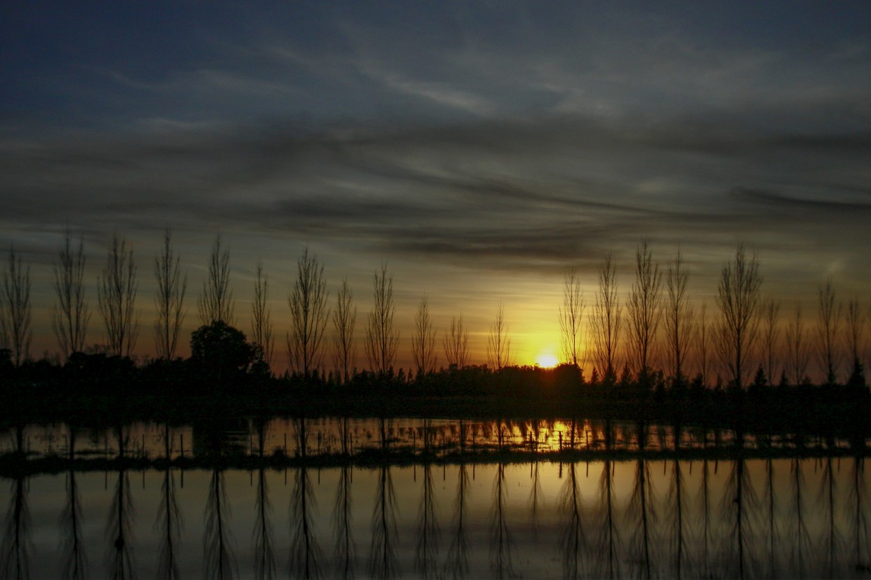 "Reflejos" de Eli - Elisabet Ferrari