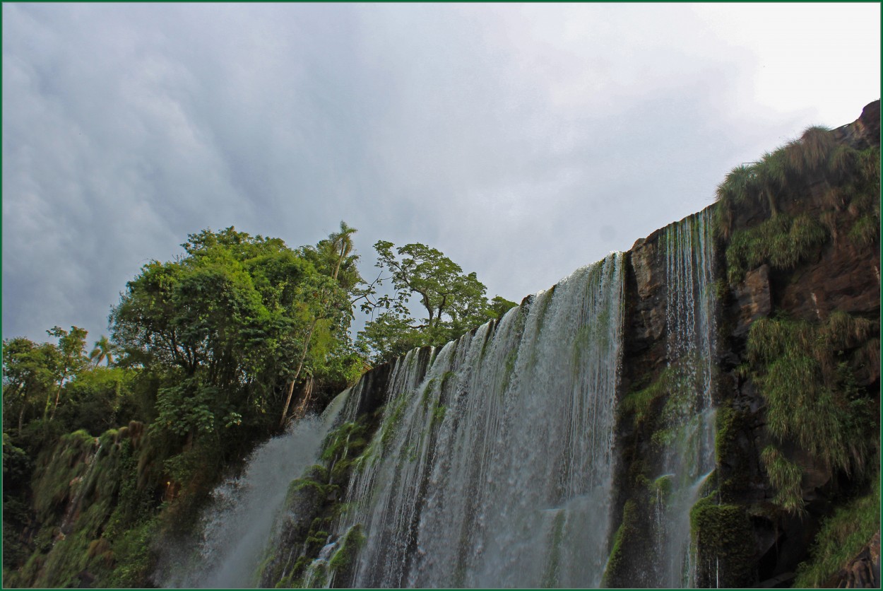 "Salto Bosetti" de Silvia Emilia Guerra