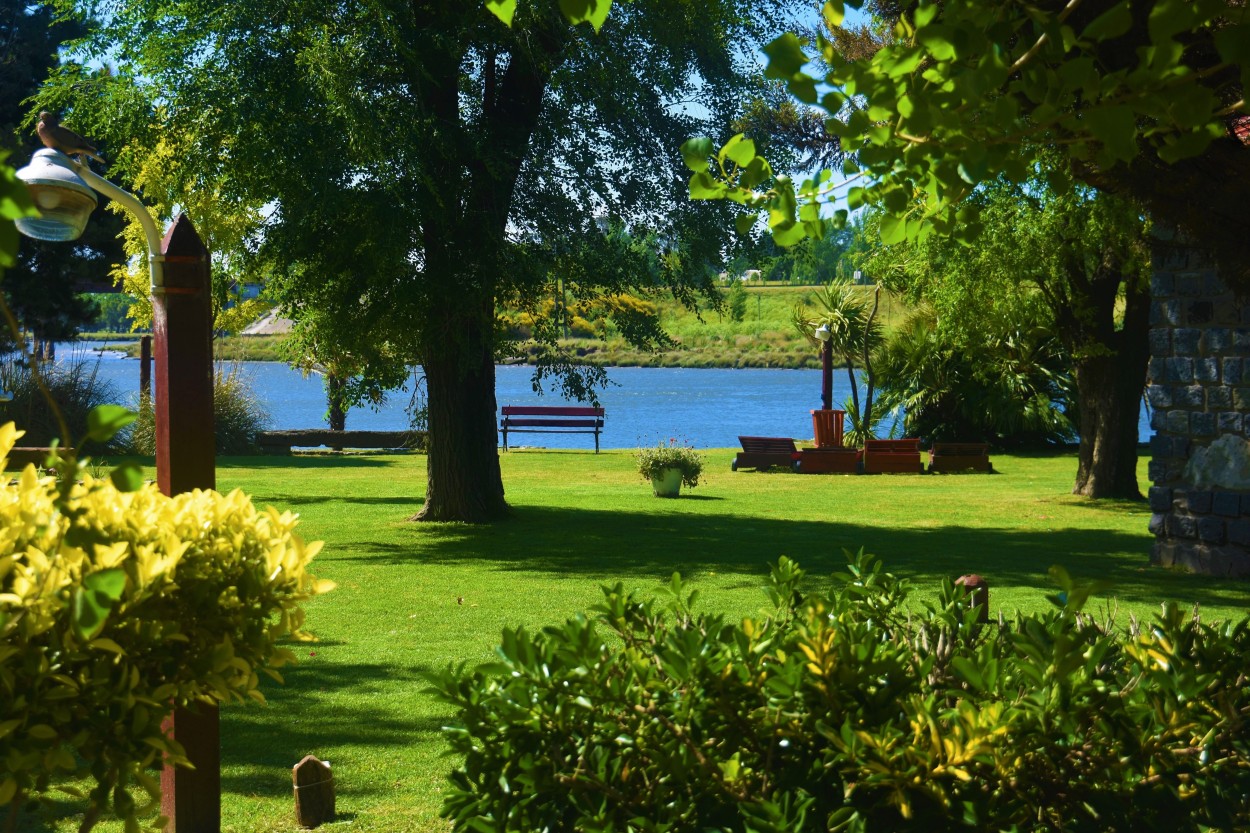 "Paseo al rio" de Alberto Zaccagnino