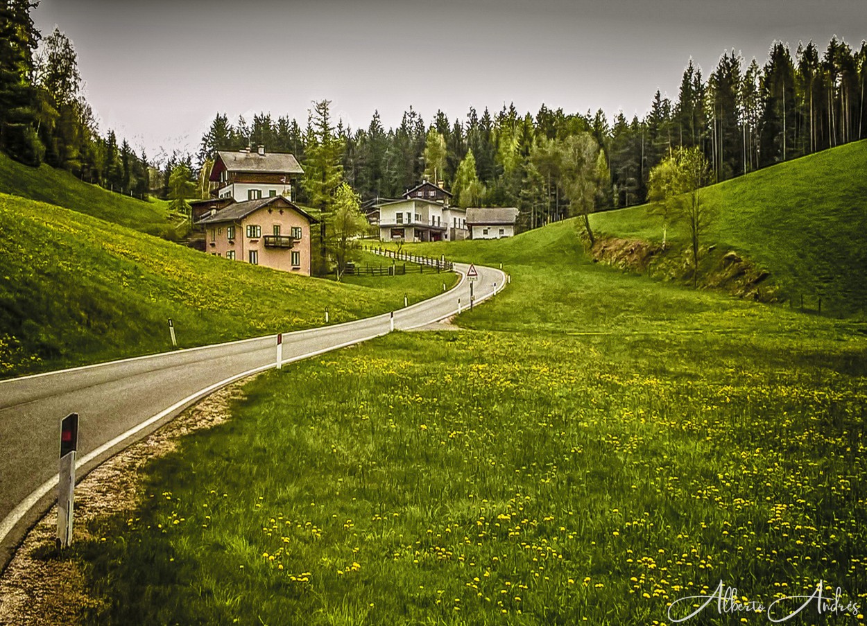 "Caminando por los Alpes" de Alberto Andrs Melo