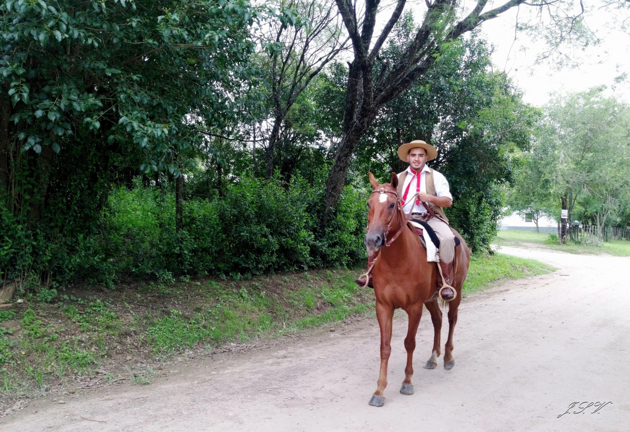 "Reinaldo" de Jorge Vargas