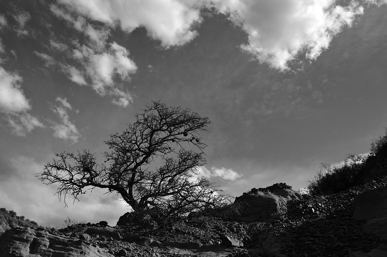 "con las nubes" de Marcos Pedro Escudero