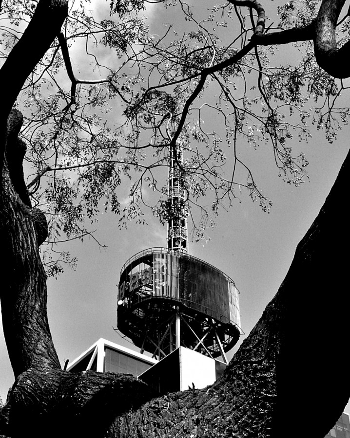 "Um olhar na Av. Paulista, suas formas e volumes.!" de Decio Badari