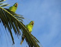 Olha l, e o mesmo fotografo!