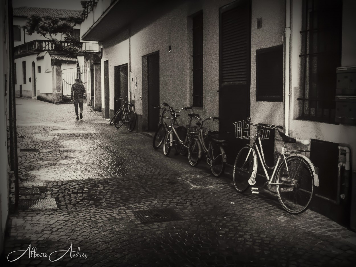 "Caminante solitario" de Alberto Andrs Melo