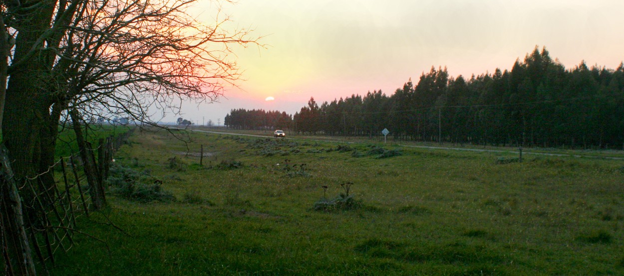 "Atardecer en la 86" de Julio Fontana