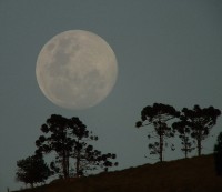 Do fundo do ` ba`, os anos dourados,saudades!