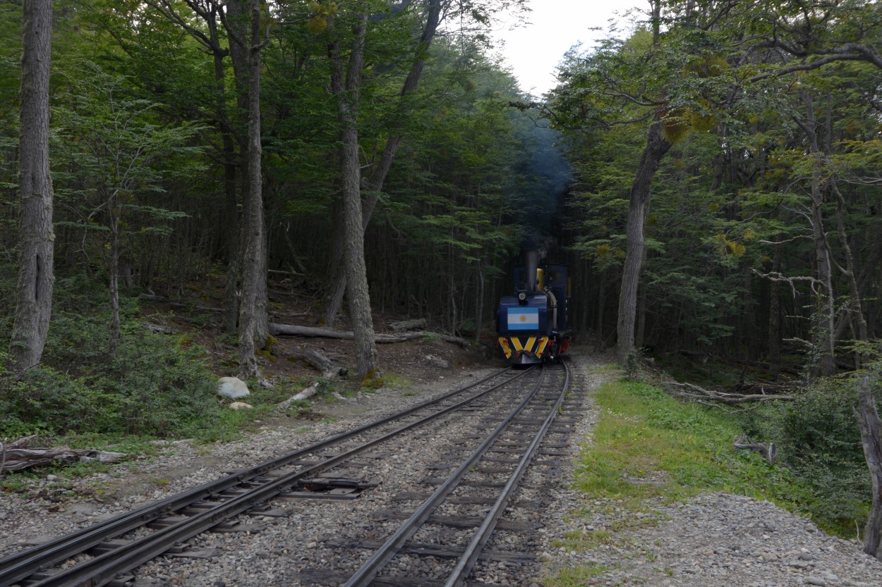 "Tren del Fin del Mundo. Tierra del Fuego." de Carlos E. Wydler