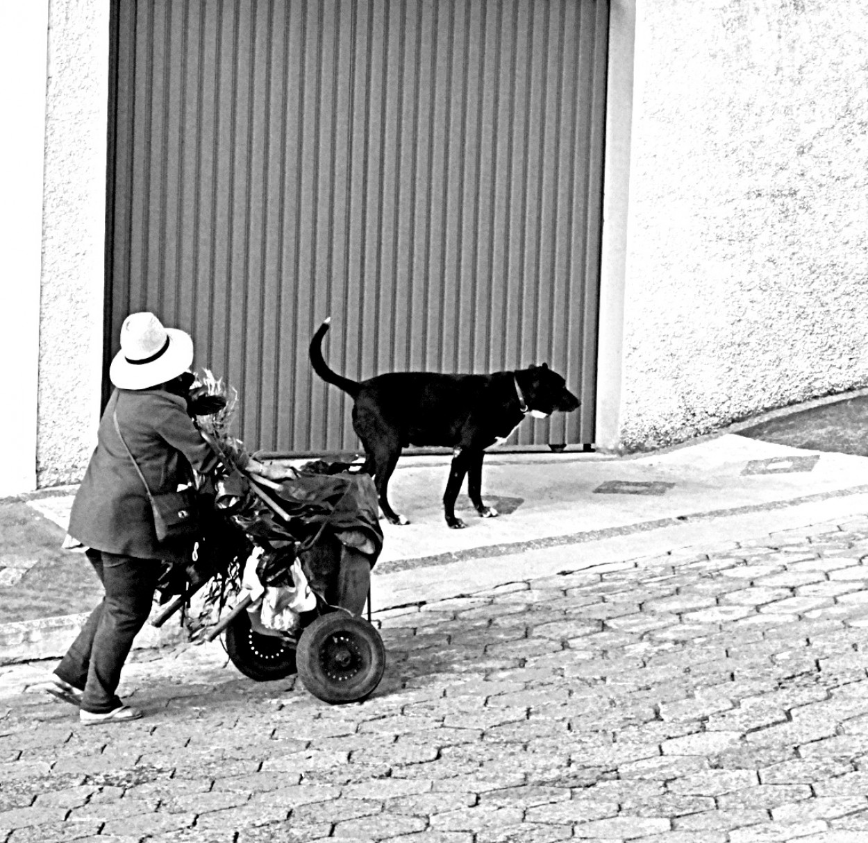 "Clia, que limpa nossa rua e a volta do trabalho" de Decio Badari