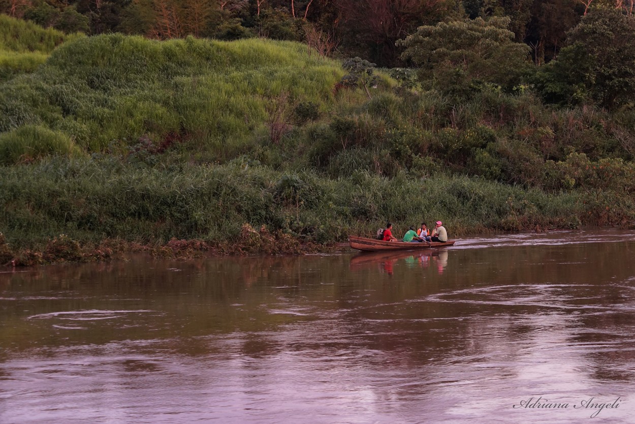 "`Tiempos de remar`" de Adriana Angeli