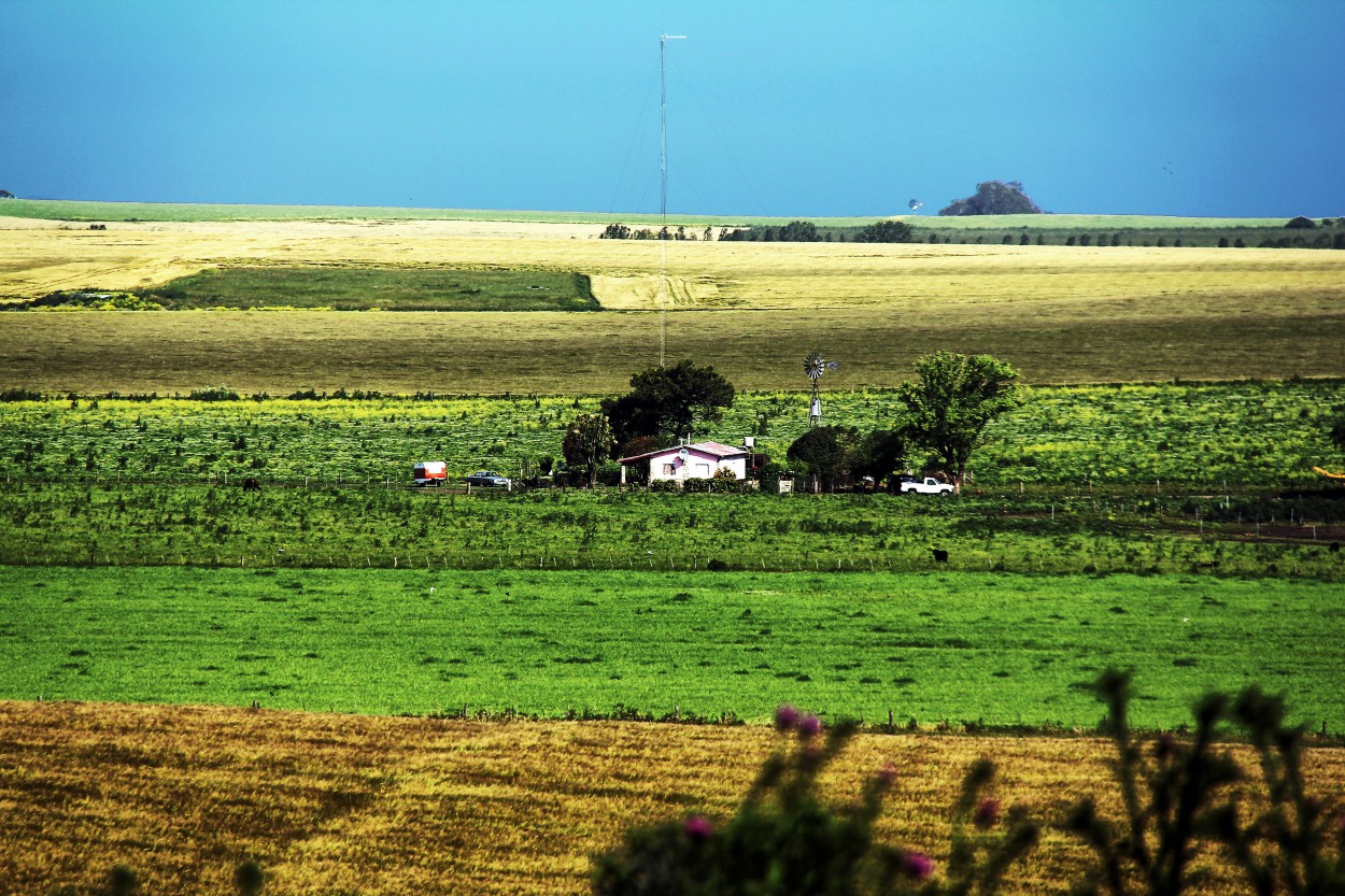 "Campos de Alvarado..." de Juan Carlos Barilari