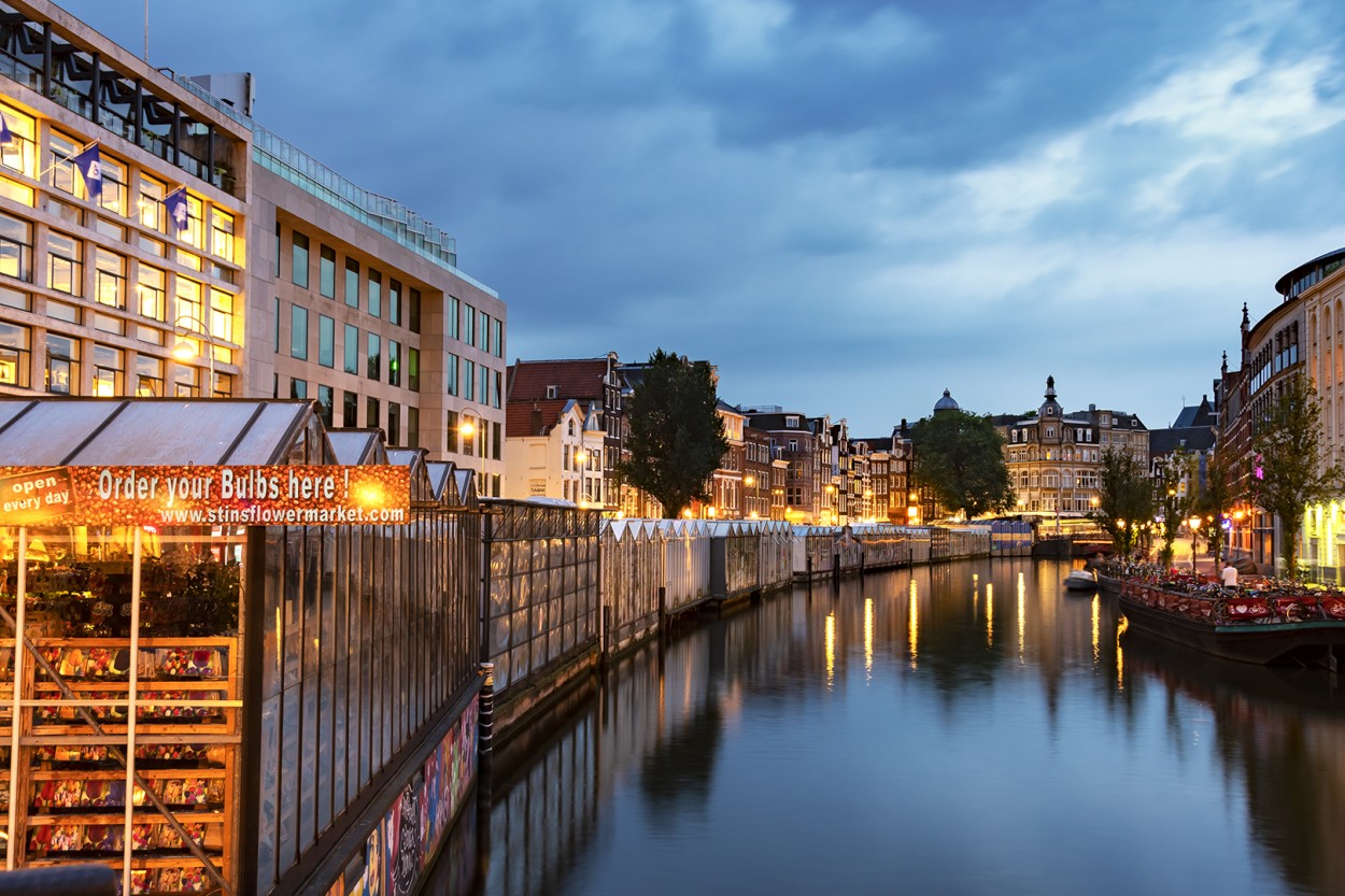 "Flores en Amsterdam" de Luis Fernando Somma (fernando)