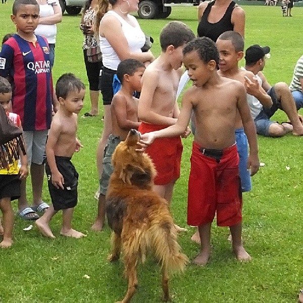 "Os amigos e um amigo." de Decio Badari