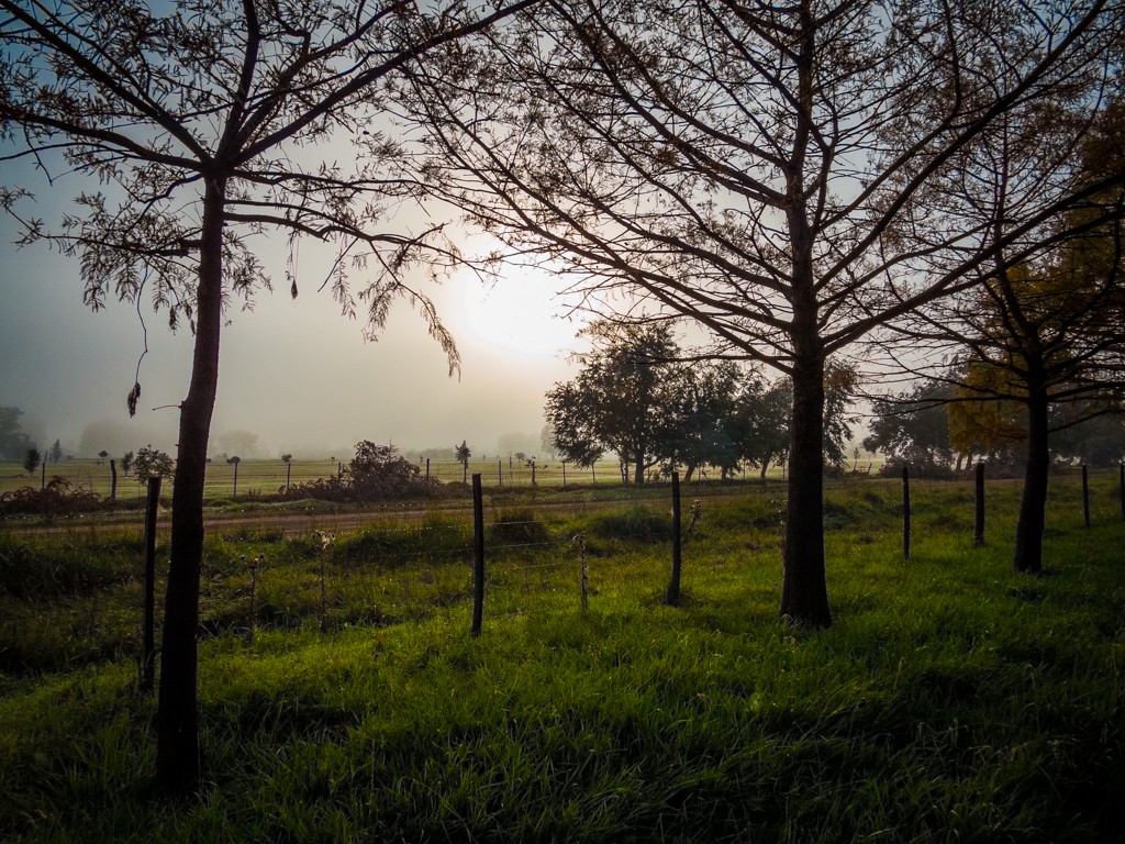 "Otro amanecer" de Fernando Valdez Vazquez