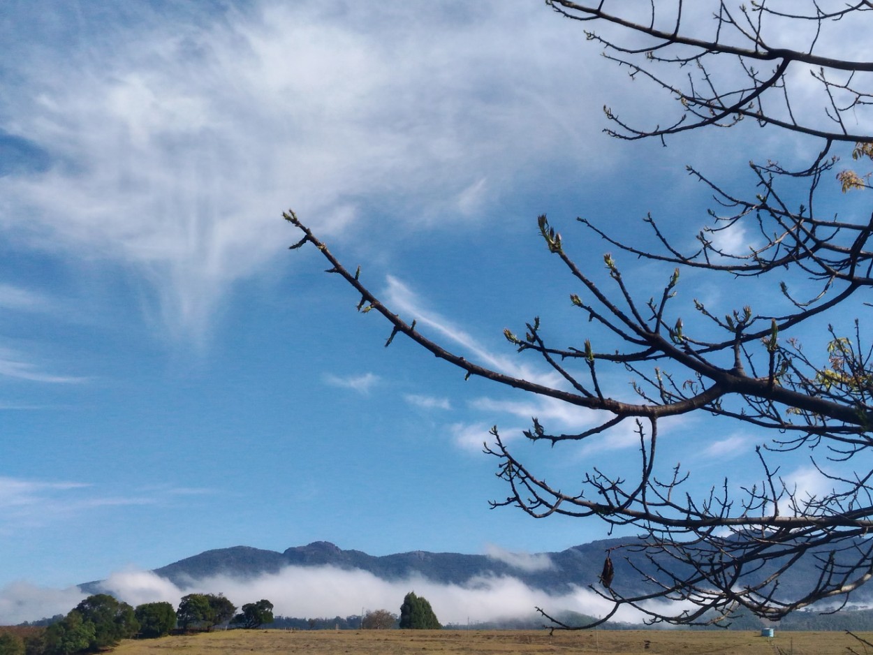 "Um amanhecer no campo,respirando ar puro......" de Decio Badari