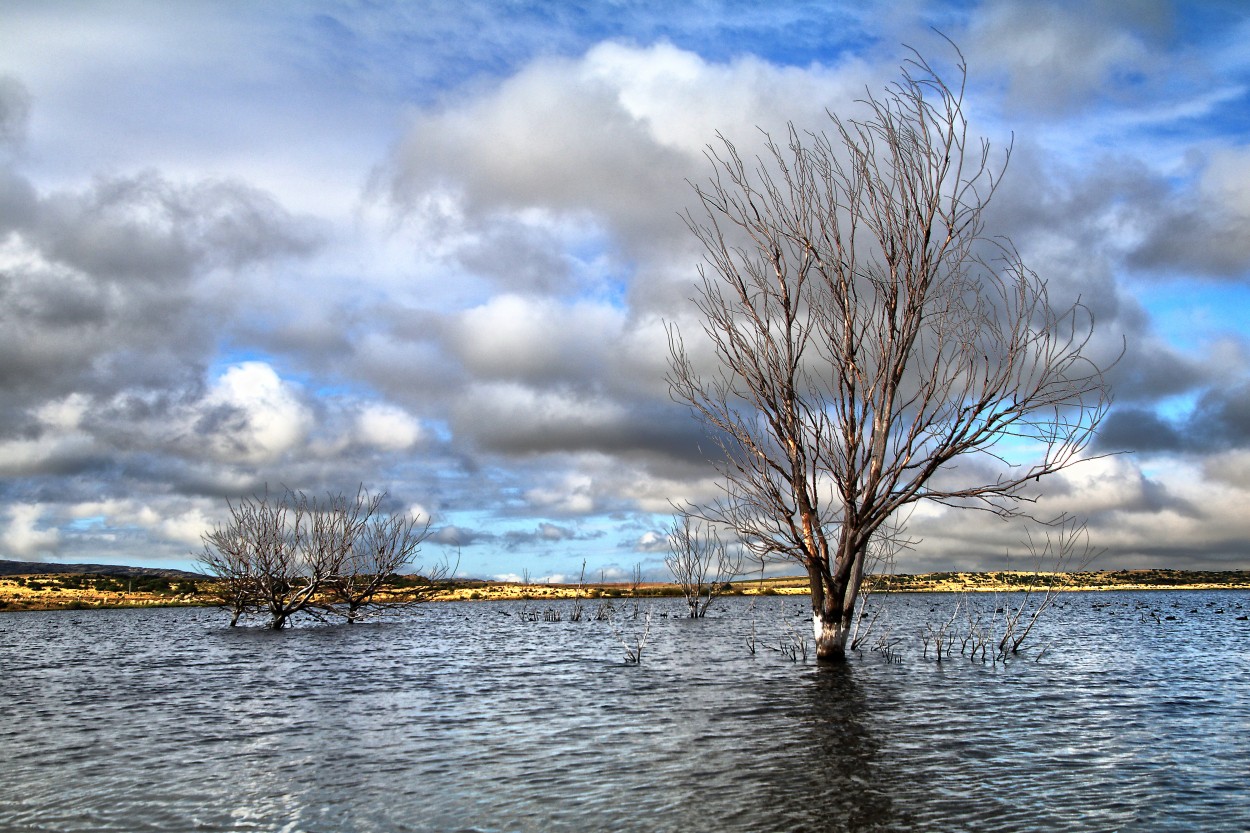 "Lago del dique..." de Juan Carlos Barilari