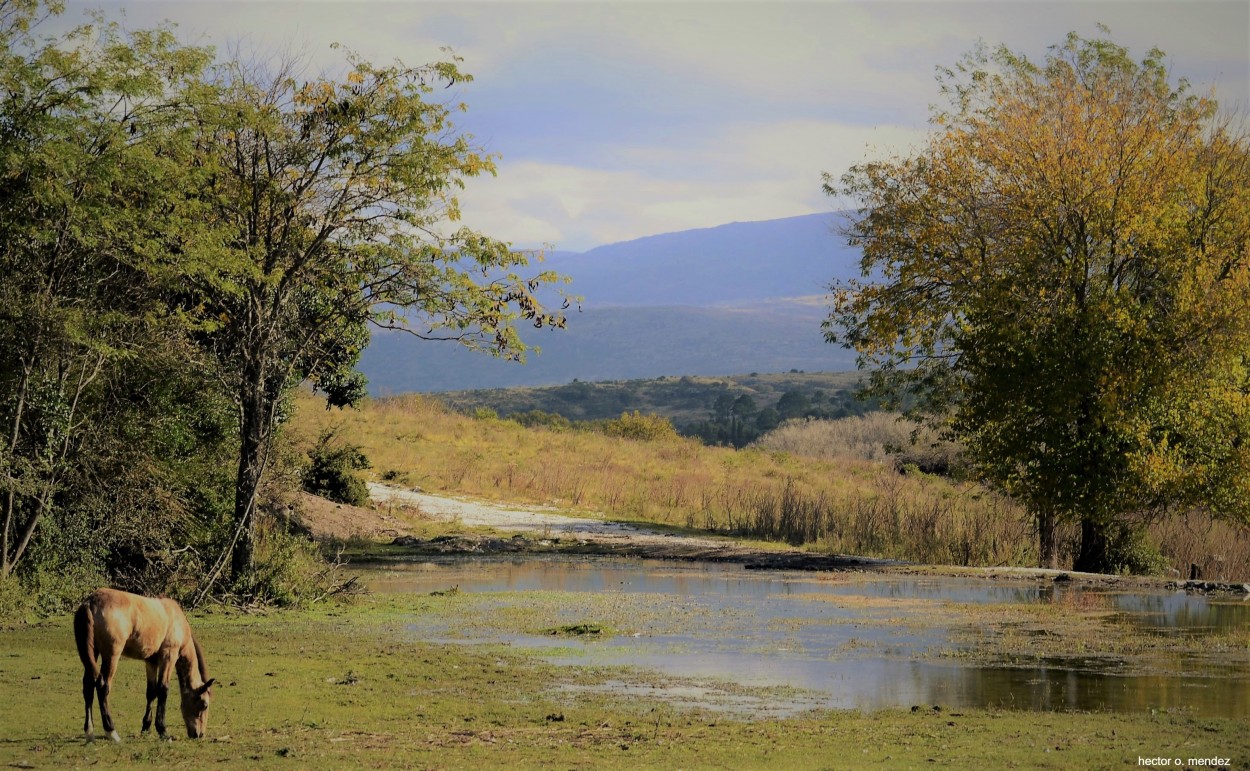 "Bebedero natural" de Hector Mendez