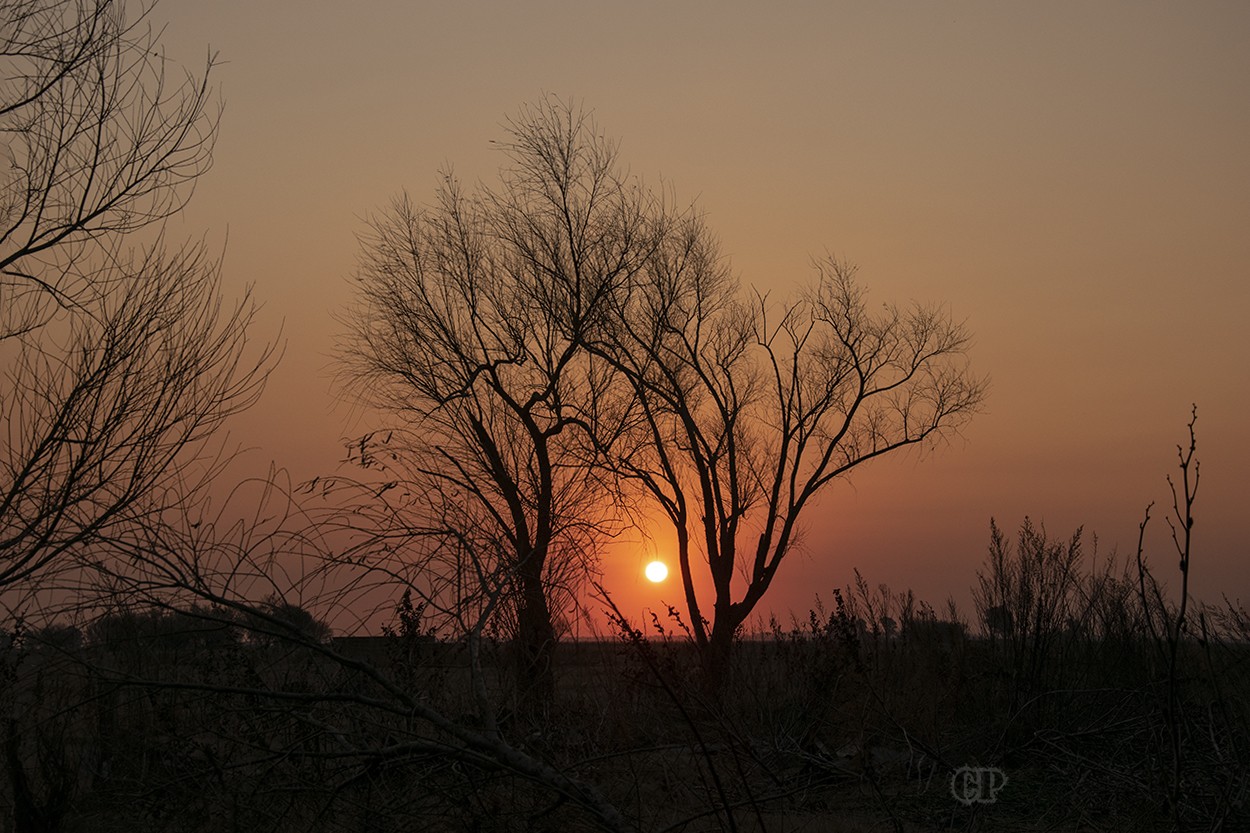 "Al caer la tarde" de Claudio Pringles