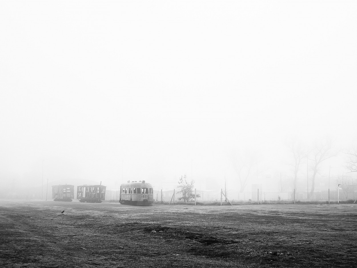 "Niebla" de Marzioni Martn Luis