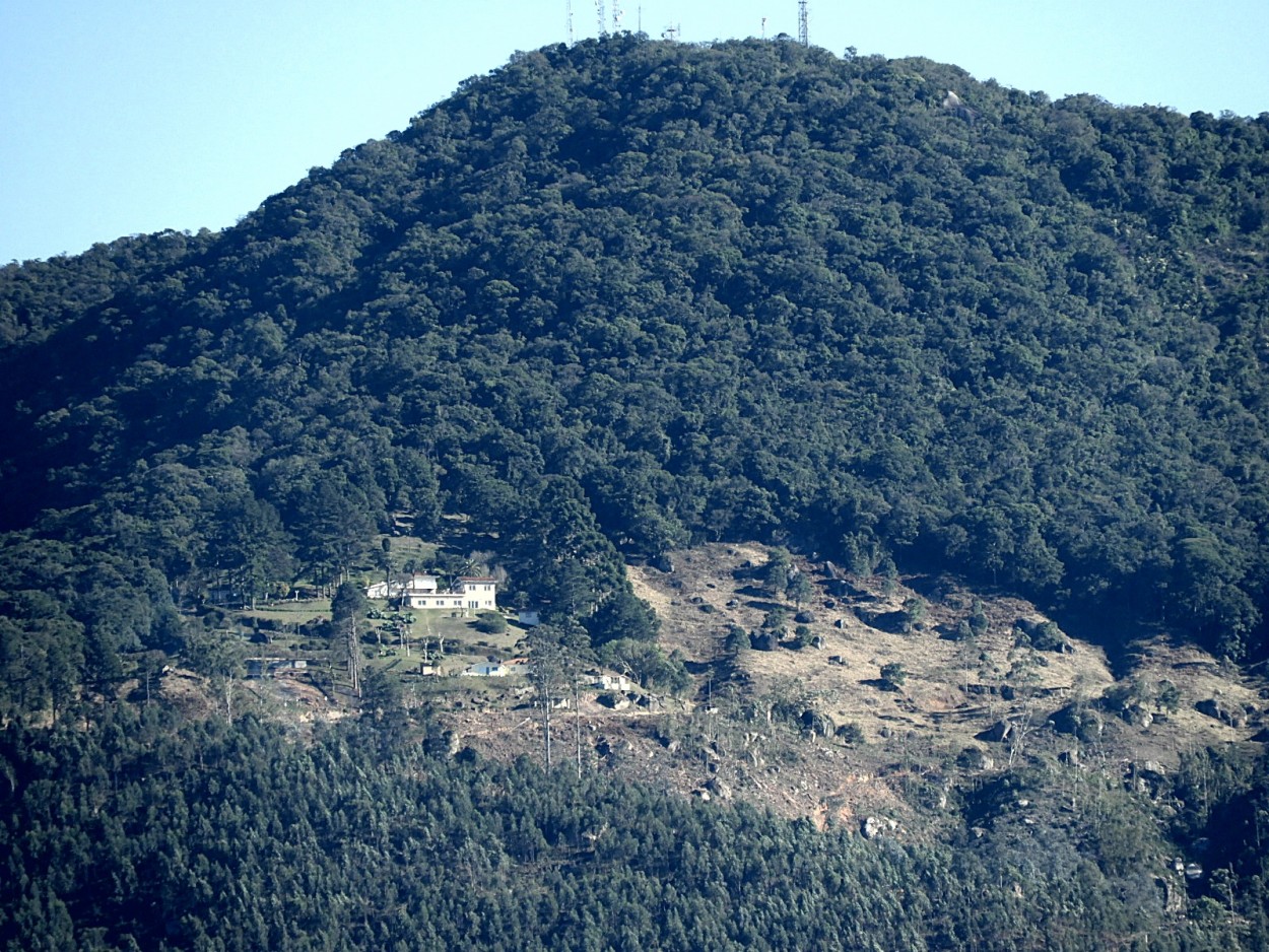 "Parece ser um bom local para a quarentena!" de Decio Badari