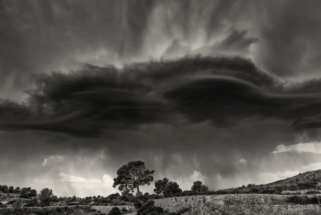 "Tormenta" de Francisco Jos Cerd Ortiz