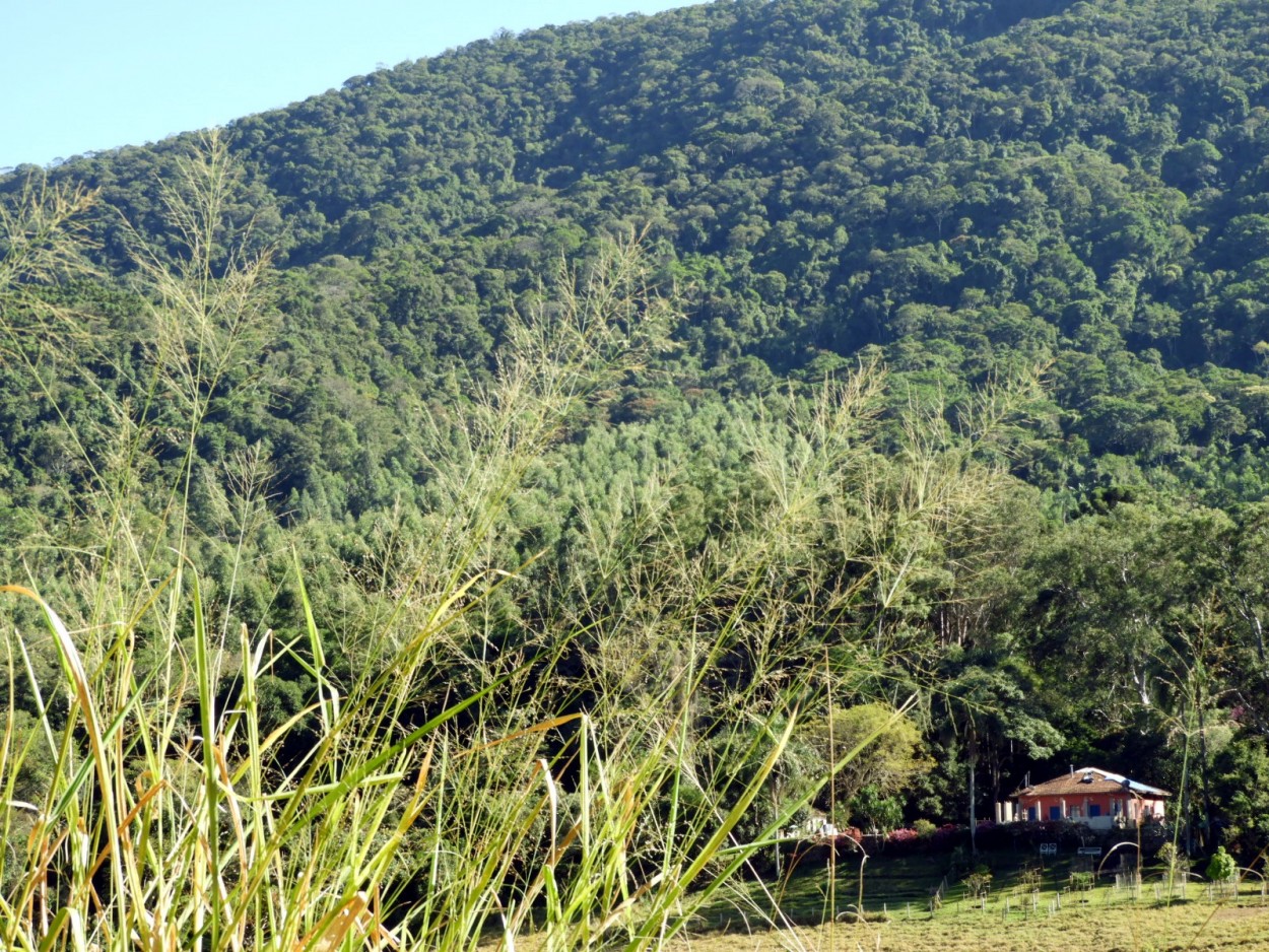 "No sop da Serra da Mantiqueira,a casa onde nasci." de Decio Badari