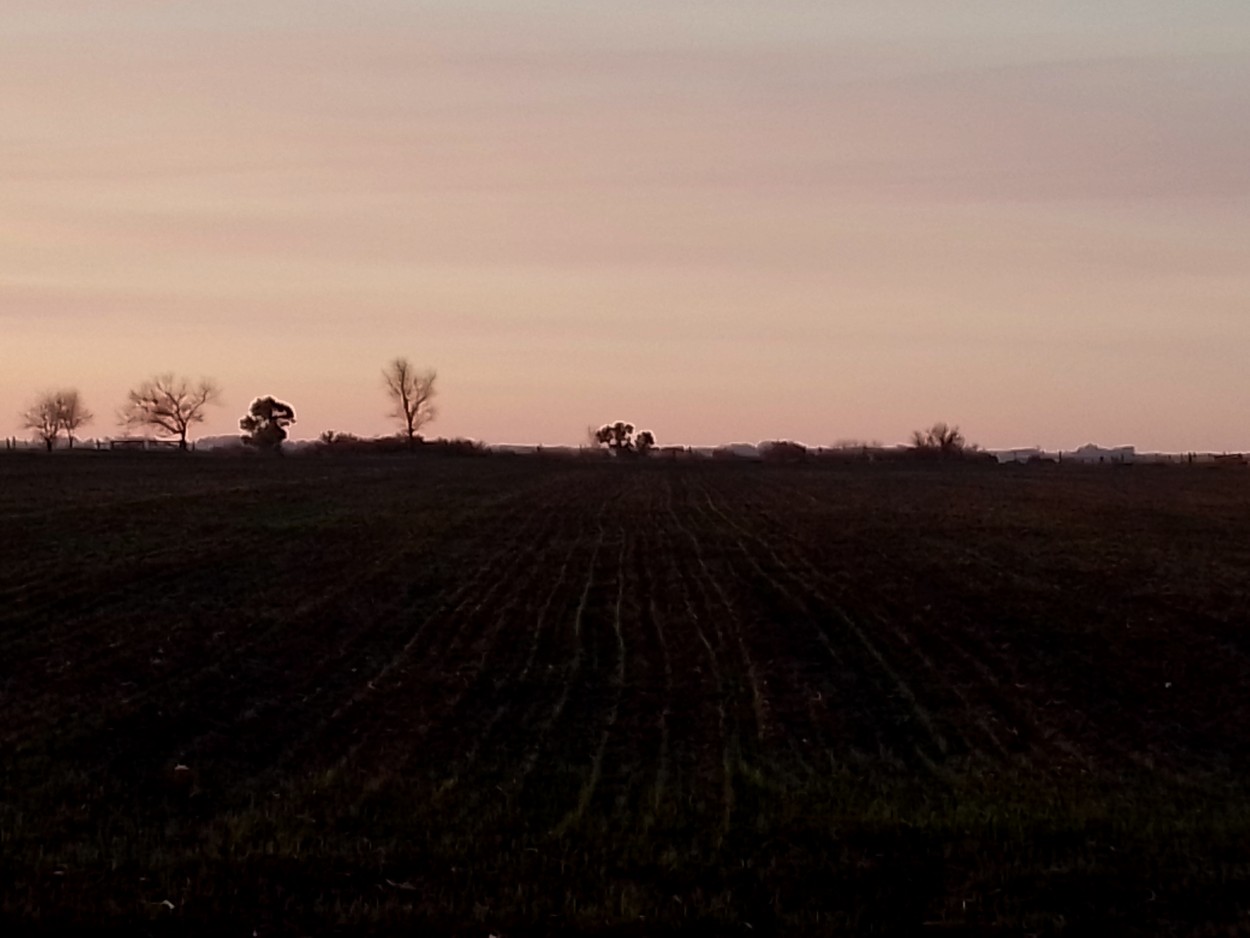 "Campo/elctrico/adentro" de Javier Andrade