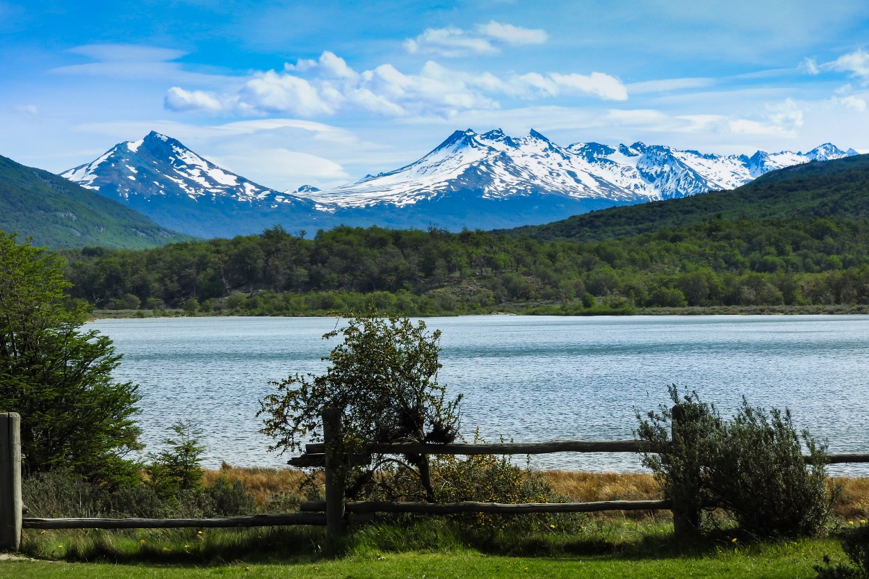 "Tierra del Fuego" de Hctor Venezia