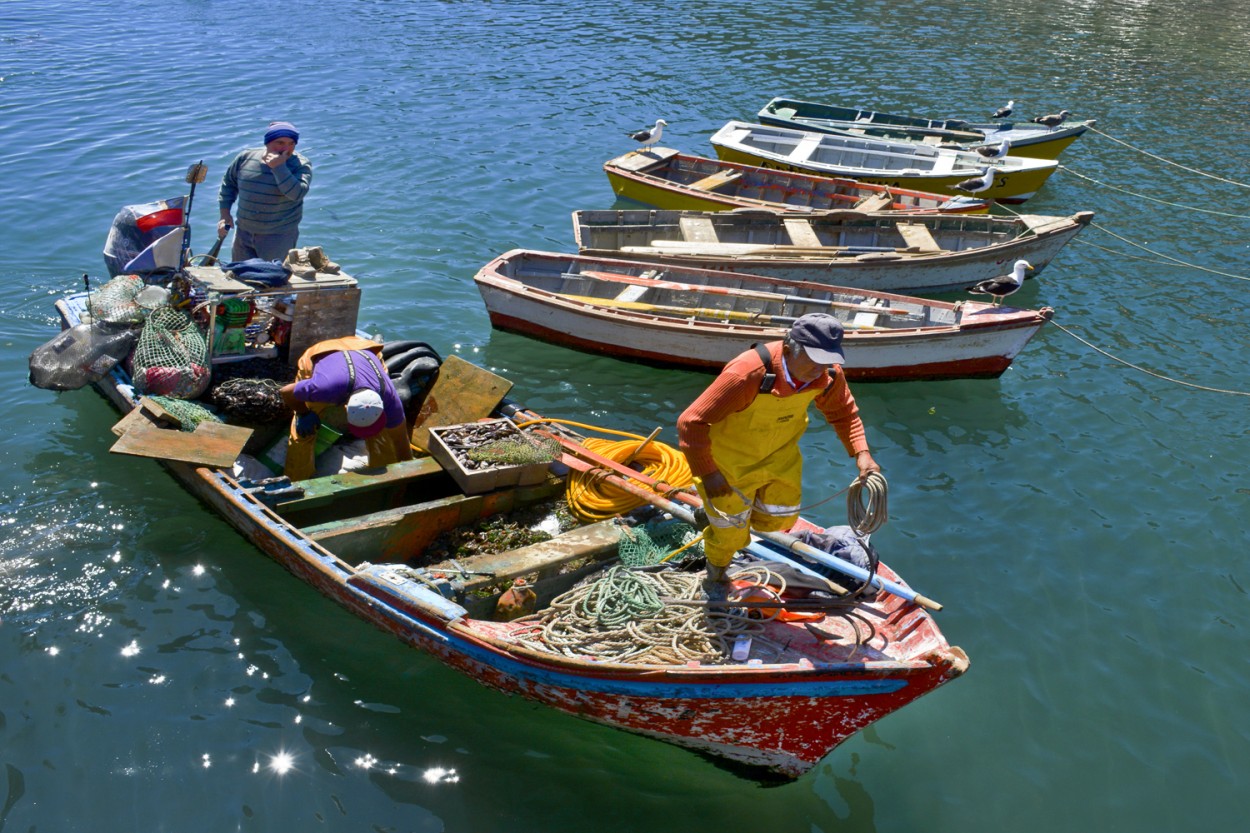 "Caleta Tumbes" de Osvaldo Sergio Gagliardi