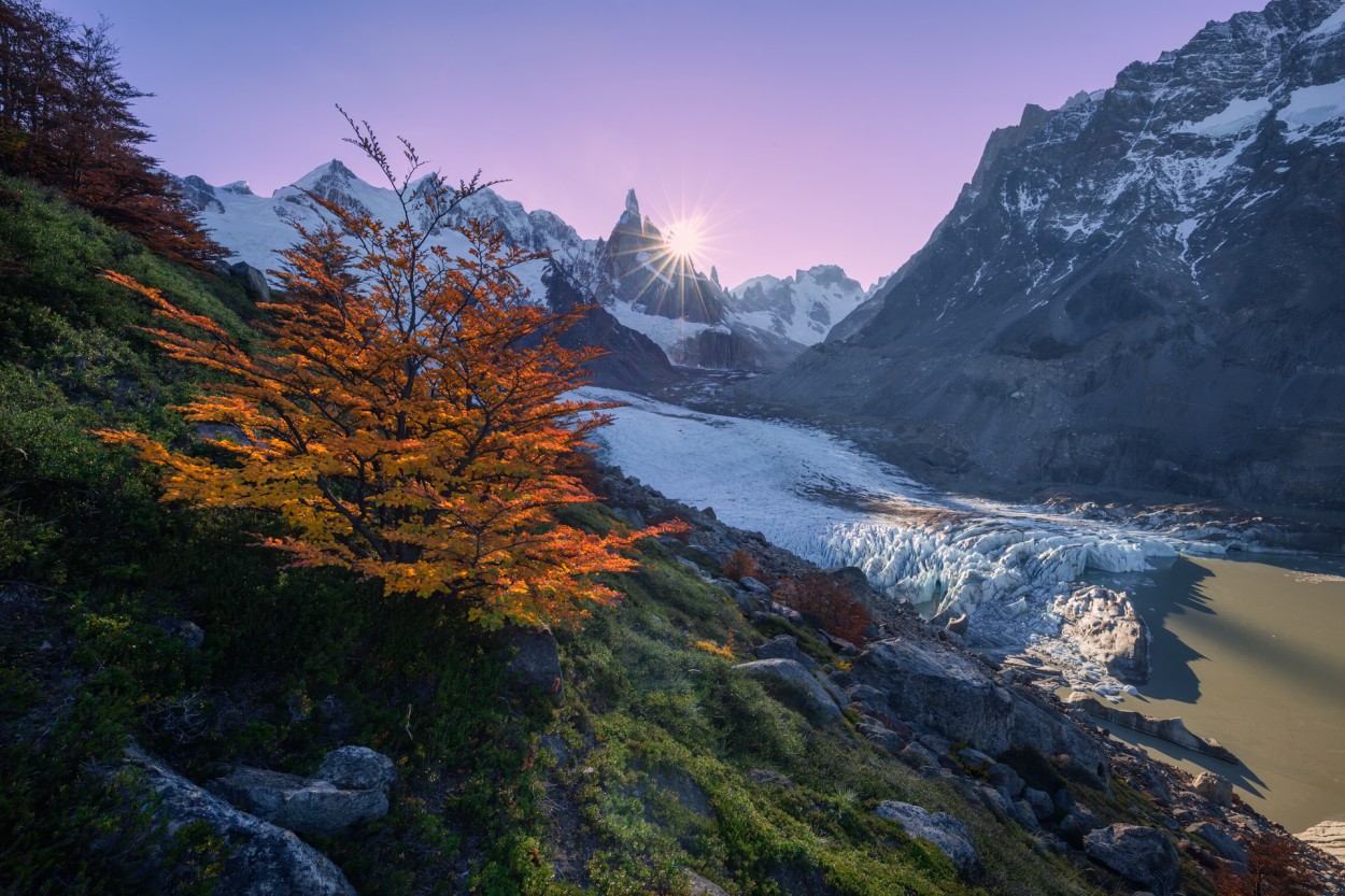 "Cerro Torre" de Marcelo Minichelli