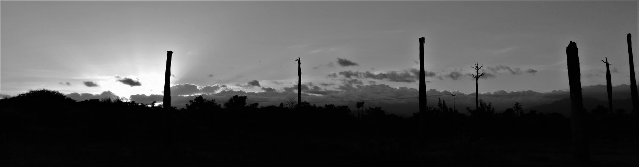 "Paisagem" de Maria Cristina de Castilho Brda