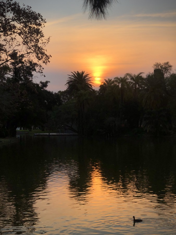 "Reflejos de un atardecer" de Laura Szapiro