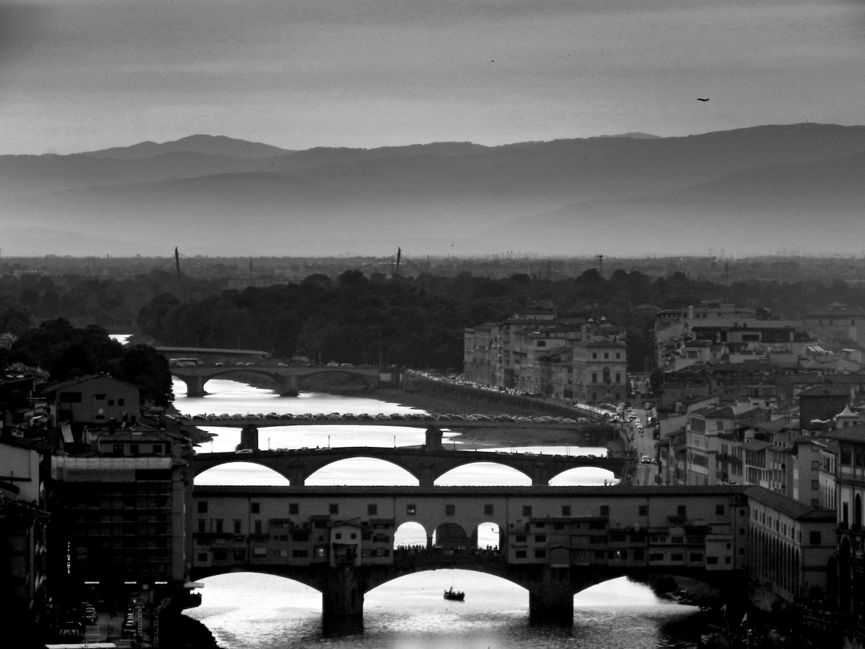 "Los puentes" de Fernanda Ferrari (fer)