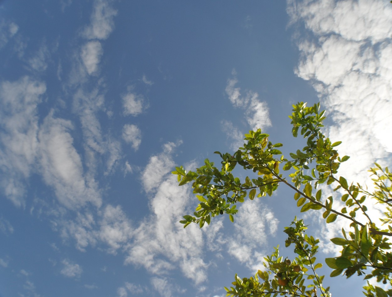 "Ar fresco,aire fresco, fresh air !" de Decio Badari