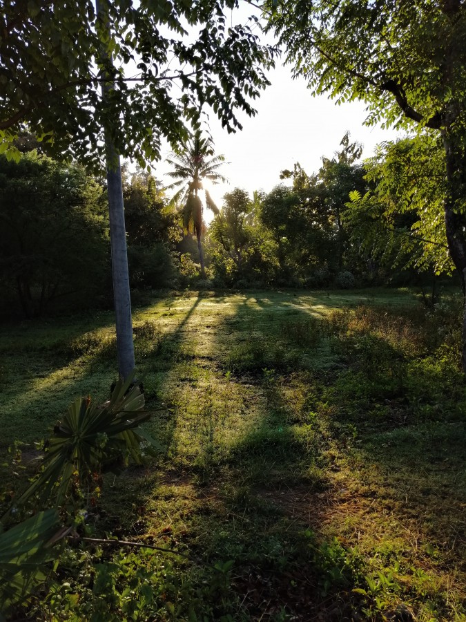 "Sombras" de Maria Cristina de Castilho Brda