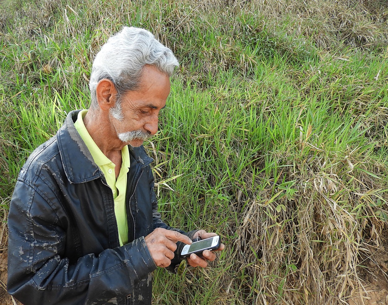 "Al, al vov, on line again!" de Decio Badari