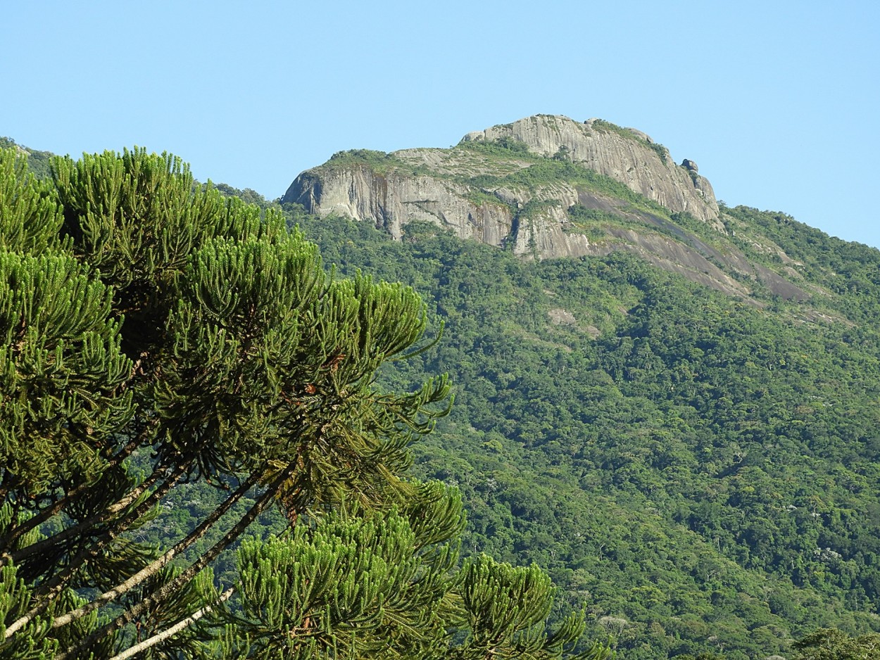 "Caminhando at o sop da Serra da Mantiqueira" de Decio Badari