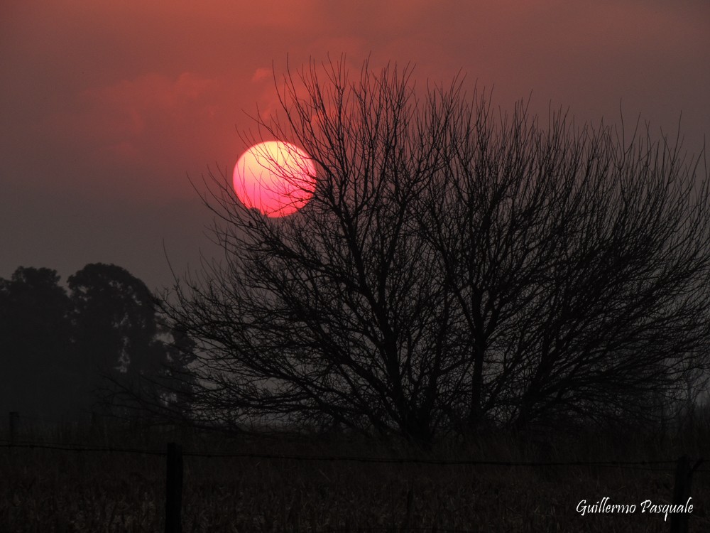 "Atardecer de Humo y tristeza" de Guillermo Daniel Pasquale