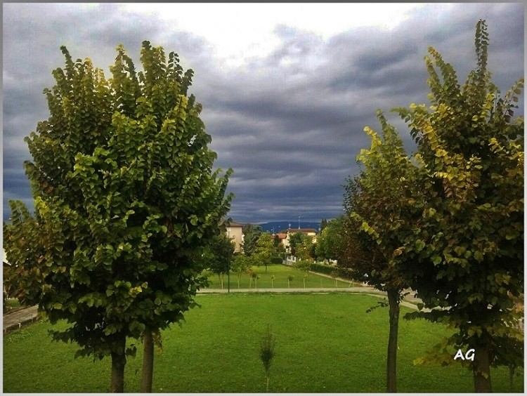 "Tormenta en otoo," de Ana Giorno