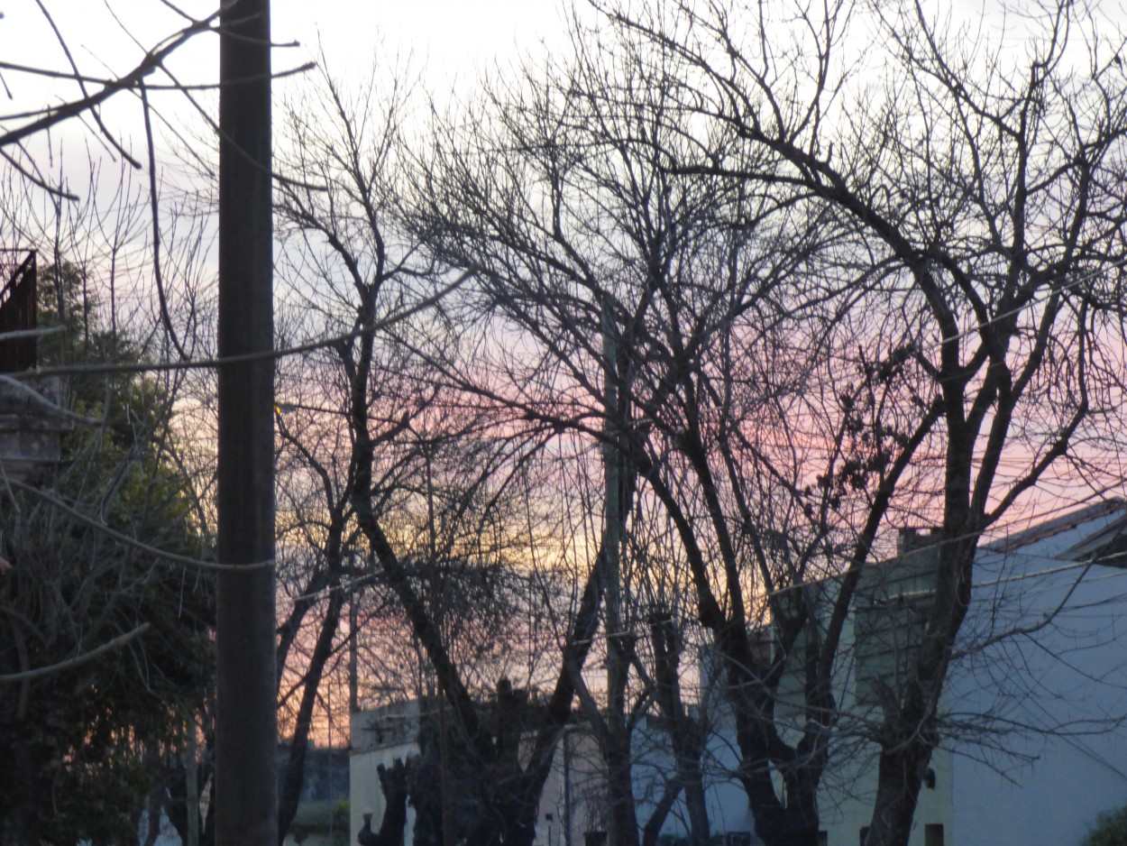 "Atardecer" de Graciela Edith Flocco