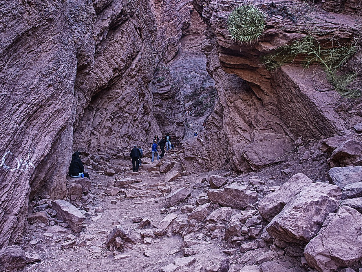 "Camino a Cafayate 2" de Roberto Bernabitti