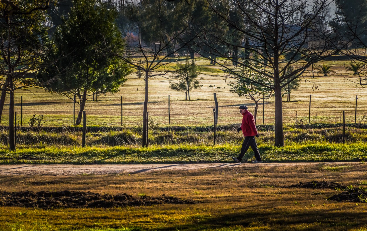 "Caminando al sol" de Fernando Valdez Vazquez