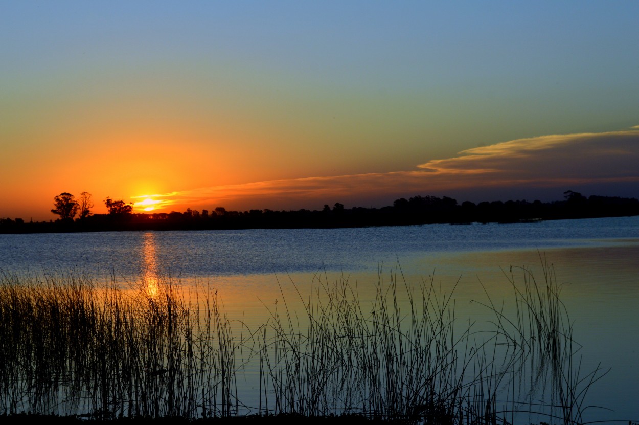 "Ocaso pampeano" de Ana Rosalia Scott