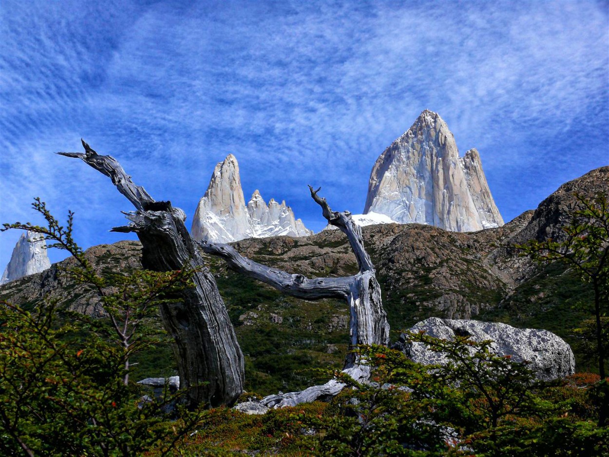 "Natural e imponente..." de Mario Abad